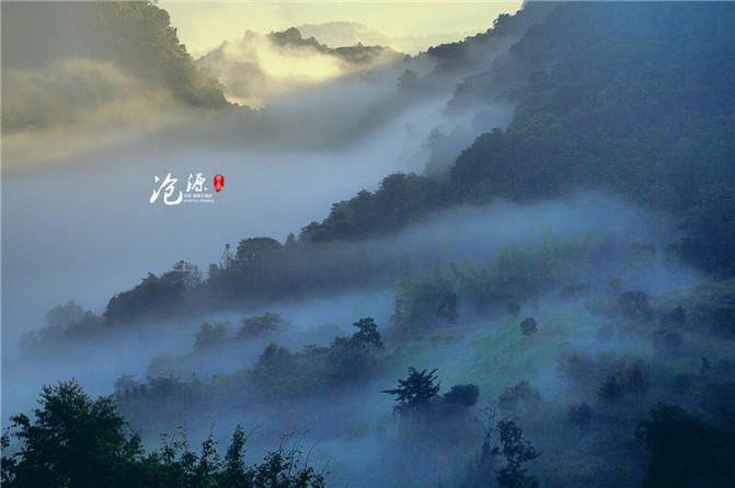 植物大战僵尸20