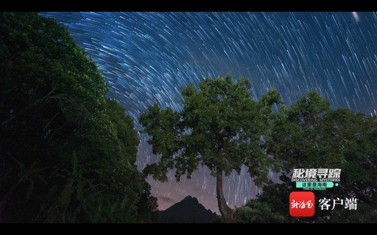大话西游手游