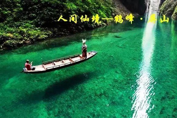 猫和老鼠官方手游
