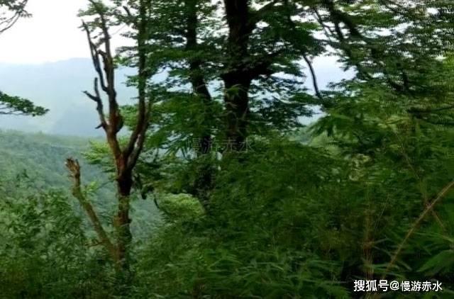 超物理基斗