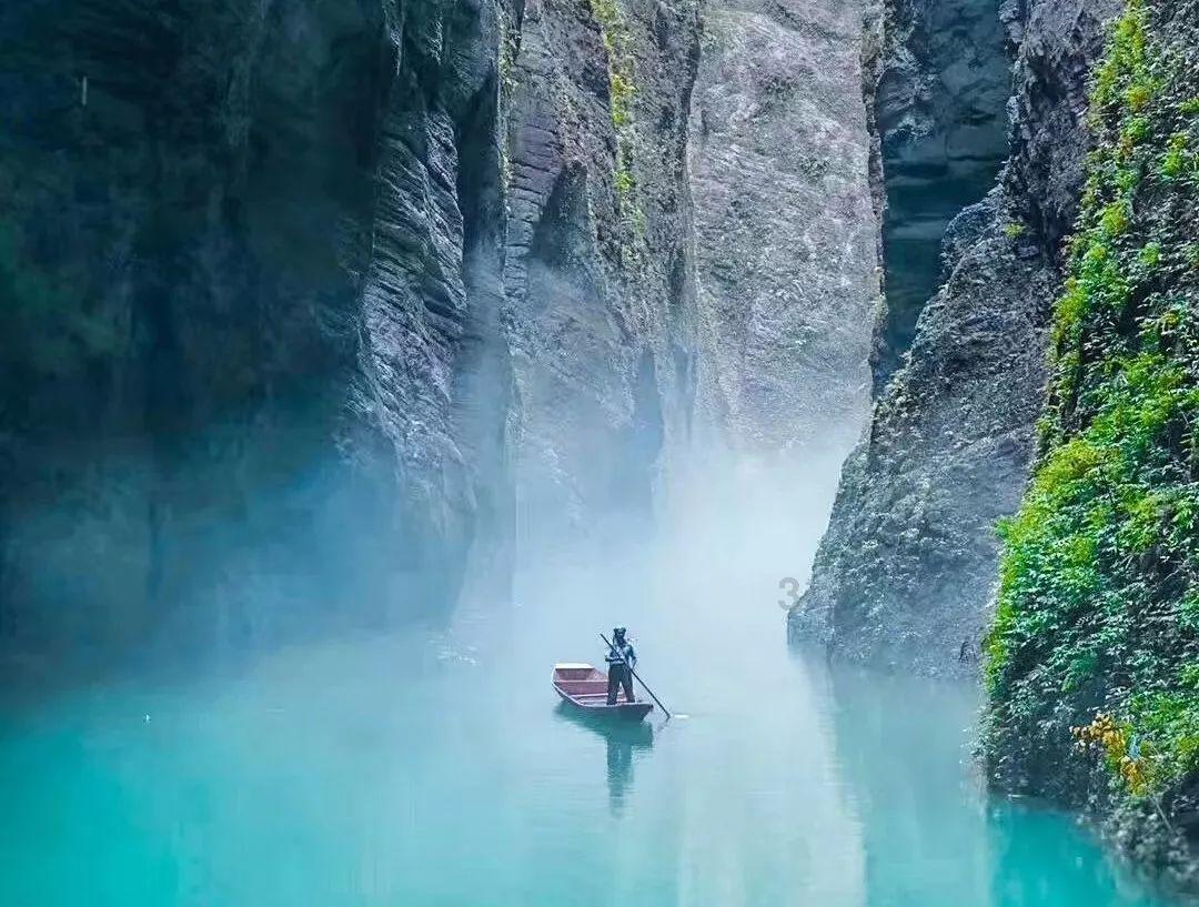 大丛林度假村逃生