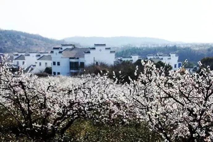 大学跟高中的区别游戏画面