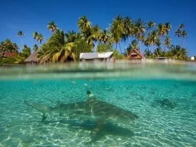 海底世界填颜色5