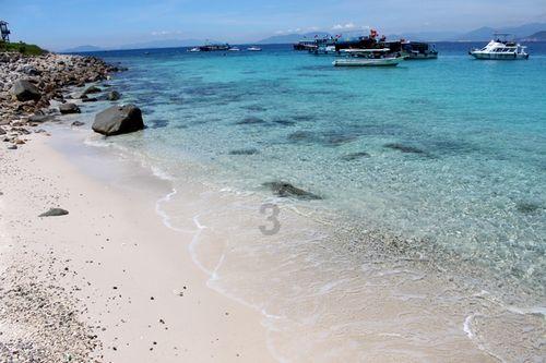 非遗剪纸迎新春 剪出浓浓“年味儿”