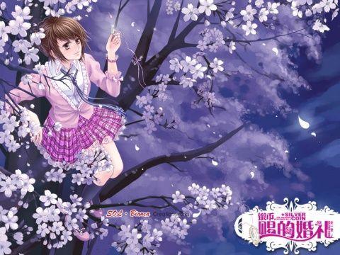 麦克斯：兄弟魔咒