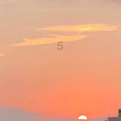 【漳路党建】2023年全市公路系统党支部书记抓党建述职评议暨党员领导干部述责述廉评议会召开