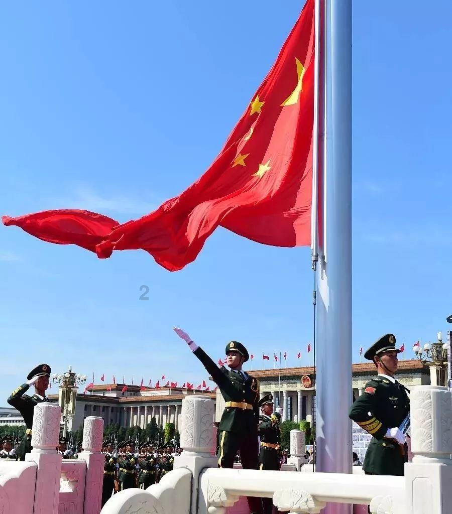 敏捷的白球