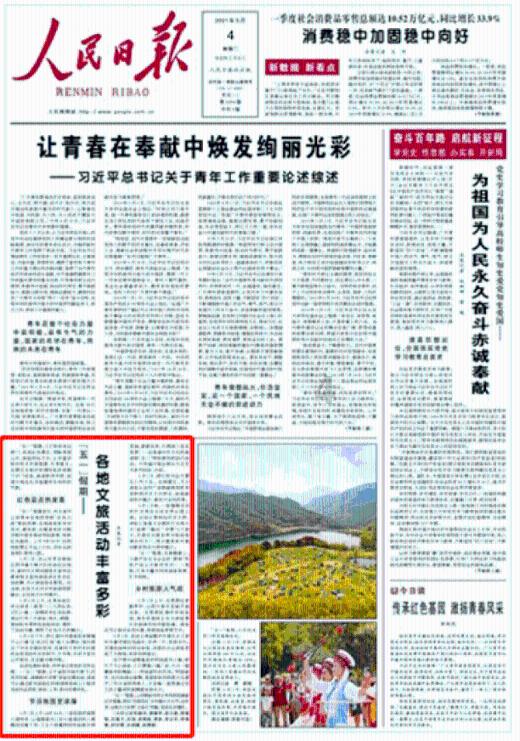 牧场物语希望之光