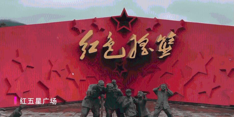 生化危机：浣熊市行动