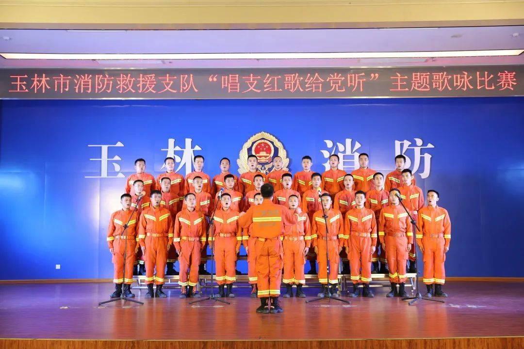 解析原发免疫性血小板减少症：病因、症状与治疗探析