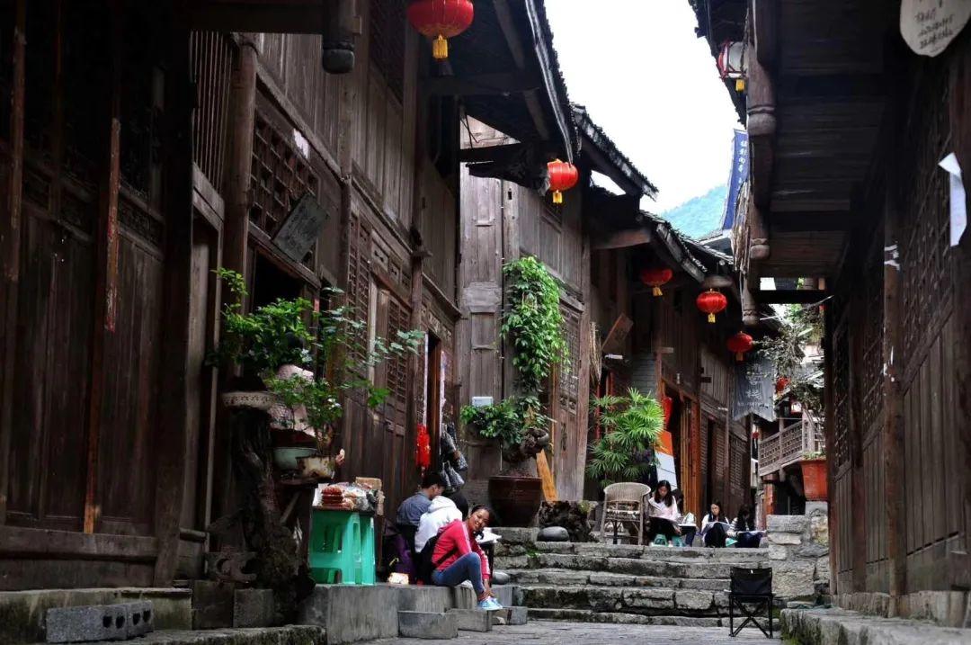 救援瓢虫宝宝