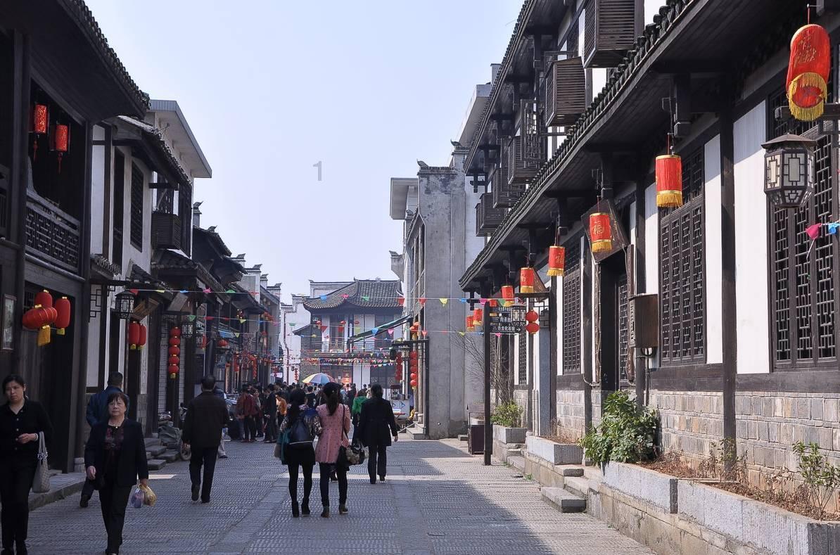 拯救落难小鸟