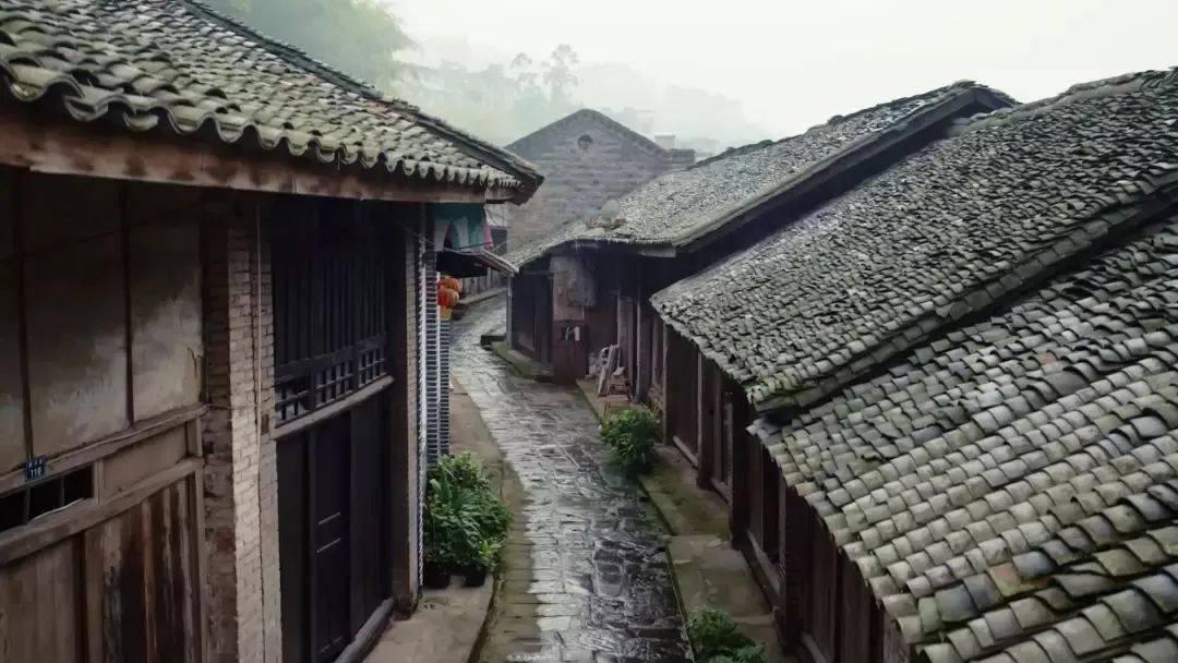 “一带一路”· 美美与共国际艺术交流展在天津现代美术馆开幕