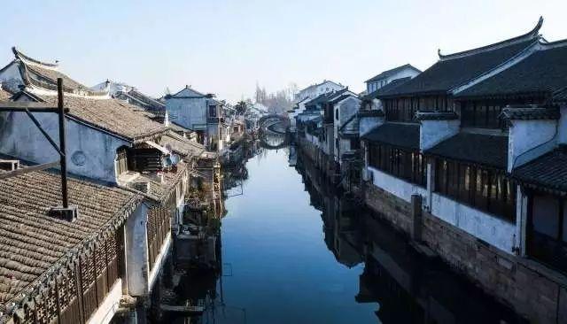 救援鹦鹉